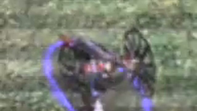 Age of Empires 3 a little artillery - Horse Artillery смотреть онлайн