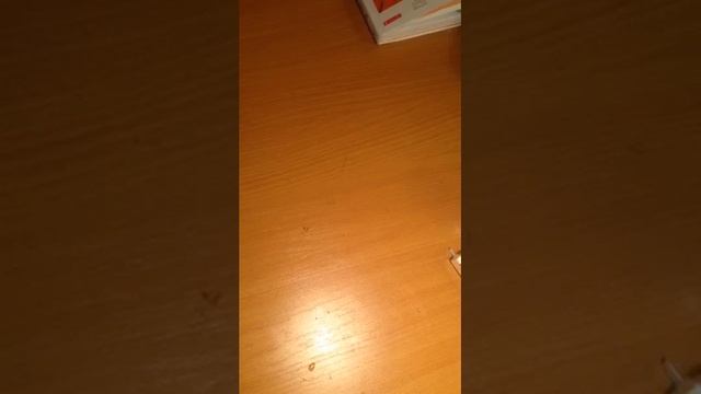 Что делать еси засох лизун смотреть онлайн