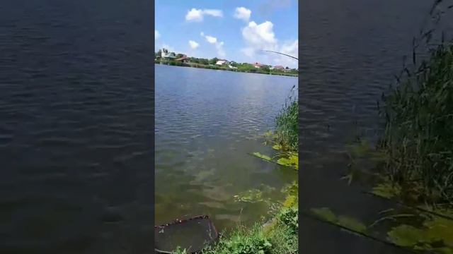 Рыбалка Атланта. Великодолинское смотреть онлайн