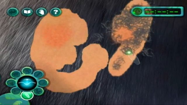 Nintendo Wii - Zoo Hospital Game Play + WTF Failed w/ Commentary смотреть онлайн