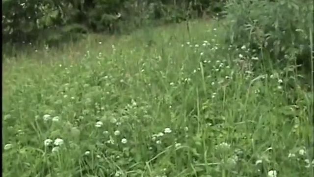 Верди. Риголетто. Часть 3. Заключение. смотреть онлайн