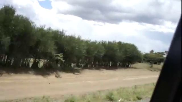 Кения Дорога в Масаи Мара На большой скорости смотреть онлайн