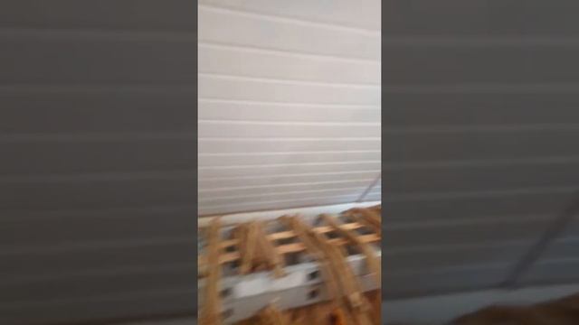 Покраска круглого бруса смотреть онлайн