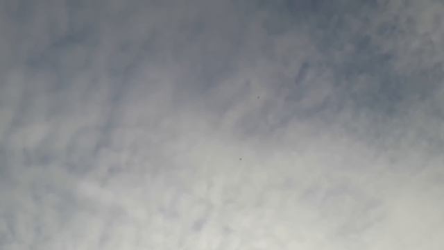 Николаевские голуби. Атака сокола. Крым смотреть онлайн