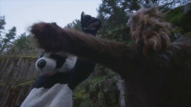 Dreams Come True [Brandon Flowers - Music Video] смотреть онлайн