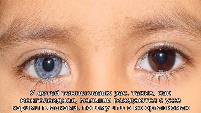Когда у новорожденного открываются глазки, почему они мутные смотреть онлайн