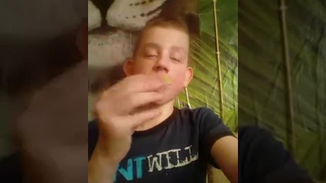 Я ем киви смотреть онлайн