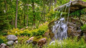 Родники России. Исполнитель песни -  Иван Роса.