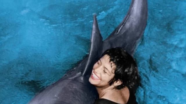 The Experiment That Broke a Dolphin's Heart смотреть онлайн