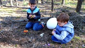 ? Нашли в лесу ОГРОМНОЕ ЯЙЦО ДИНОЗАВРА! Лего динозавры (аналог Lego dinosaurs)