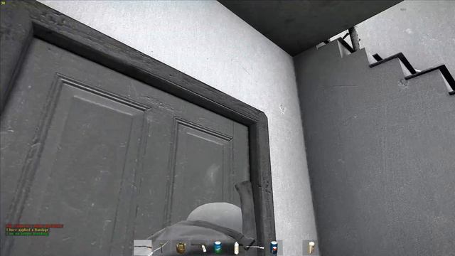 c program files x86 steam steamapps common dayz dayz exe 11 06 2014 23 04 51 03 DVR смотреть онлайн