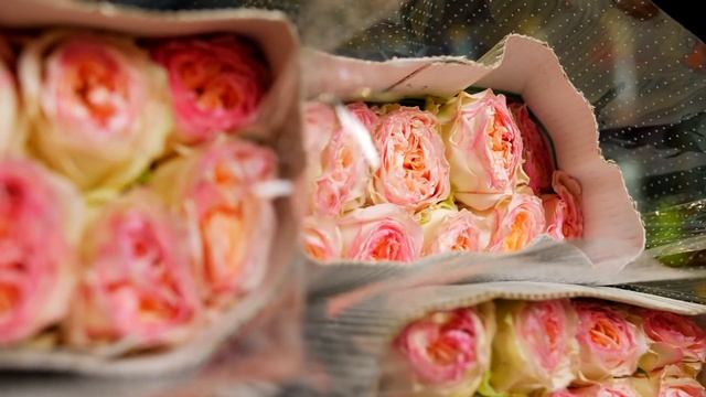 GFG | ЦВЕТЫ ОПТОМ. Роза, сорт Flashback • плантация Decofresh Roses. Кения. смотреть онлайн