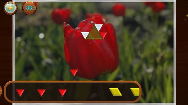 Puzzle inlay Beautiful world #1 уровень 1-12 смотреть онлайн