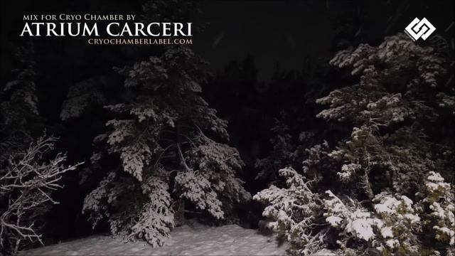 Cold Survival Music смотреть онлайн