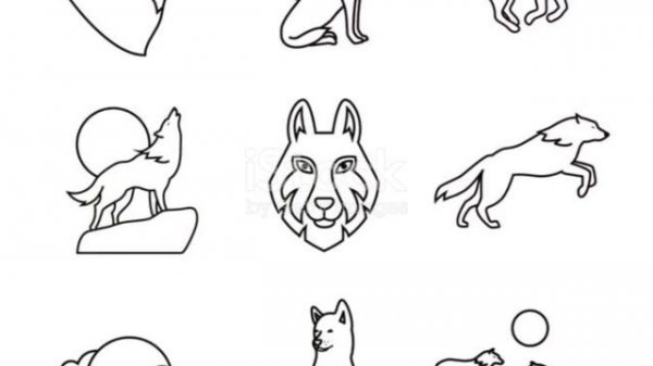 Wolf Wild Life: The Untamed Wilderness Saga