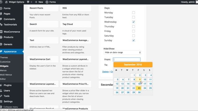 Widget Options for WordPress смотреть онлайн