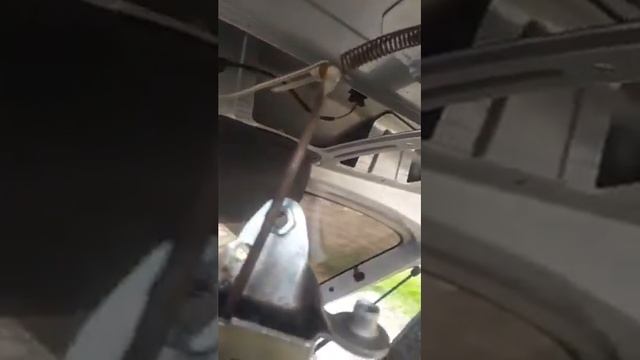 Грибная студия