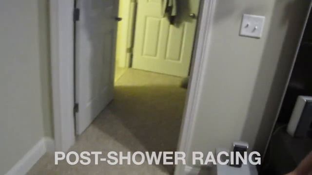 The Idiosyncrasies of Our Retired Greyhound смотреть онлайн