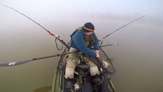 Ohio River blue catfish in the kayak смотреть онлайн