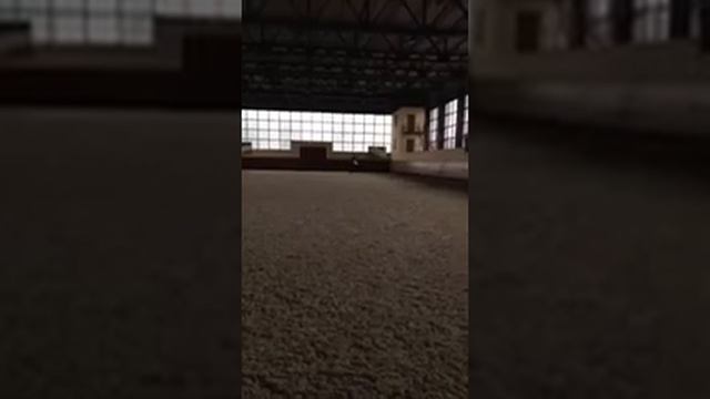 Варя Бекас смотреть онлайн