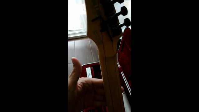 Ibanez RG2550Z-GW смотреть онлайн