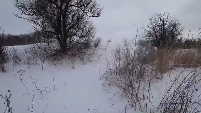 Проект "Аренда водоёма" 28 " Новостной выпуск " (ДР) смотреть онлайн