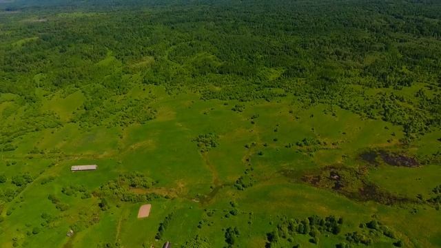 Продажа земельного участка 89 Га в Новгородской области (канал Лучшие Земли) смотреть онлайн