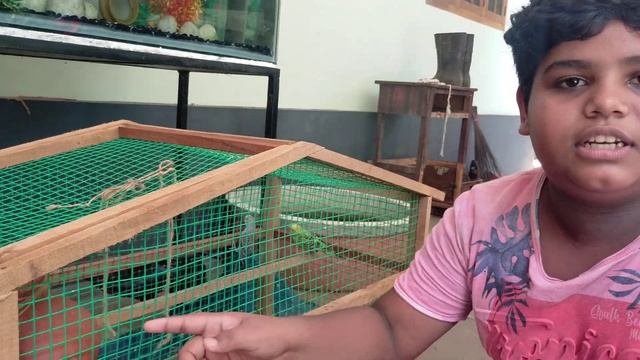 vk vlog- My first youtube video - Love birds смотреть онлайн