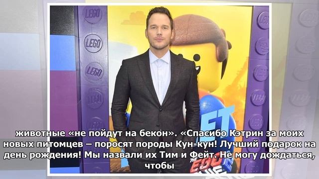 Дочь Шварценеггера подарила мужу на юбилей двух поросят смотреть онлайн