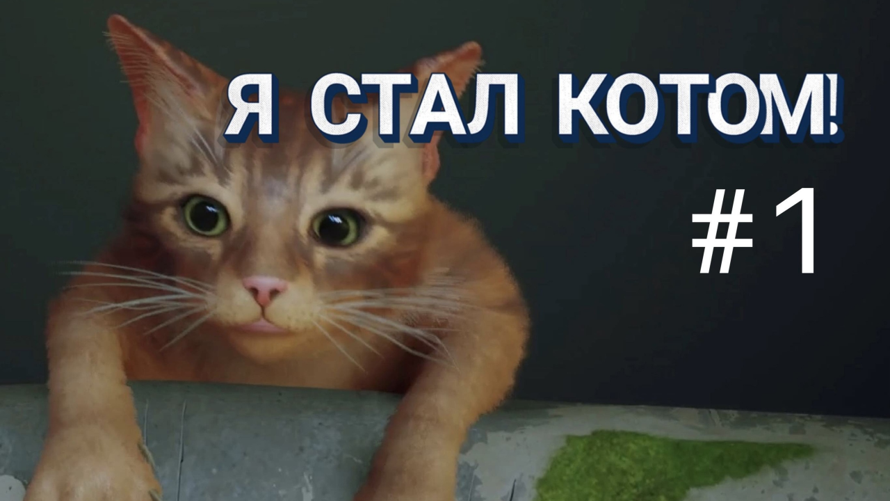 Прохождение Stray! #1 смотреть онлайн