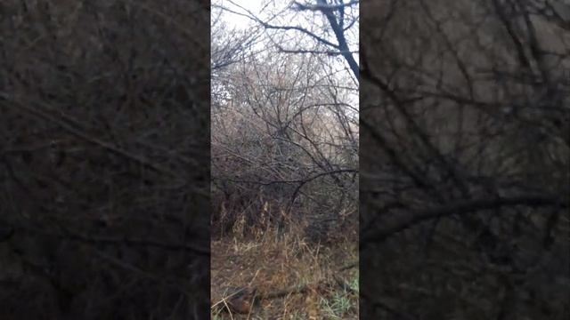 нашёл колодец возле дамбы смотреть онлайн