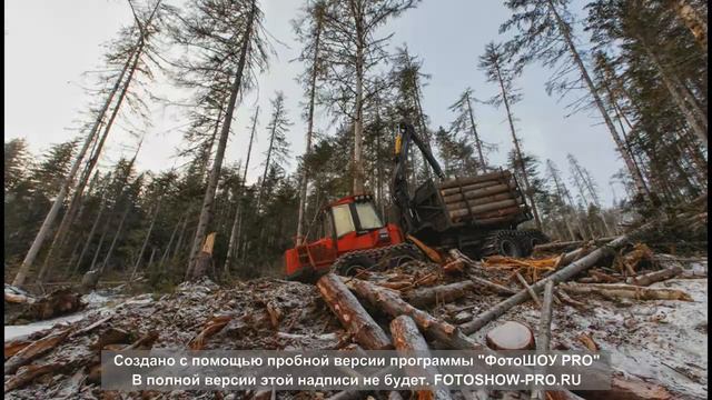 Сибирская тайга!!!!! Исполнитель Александр Прядкин. смотреть онлайн