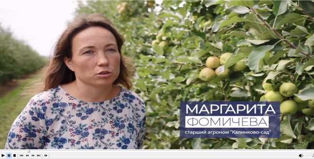 ООО Калинково смотреть онлайн