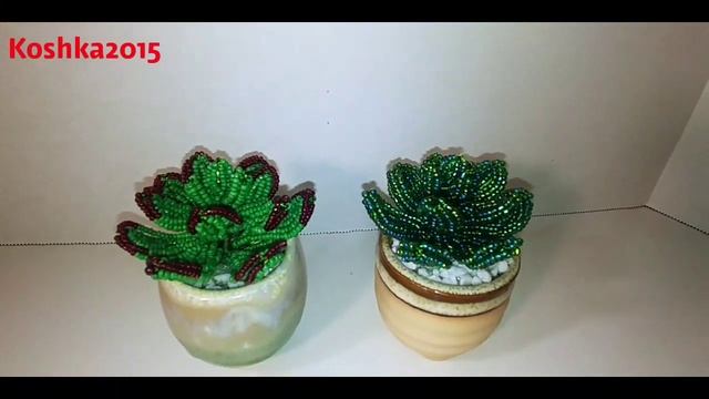 Succulents Молодило из бисера Анонс к МК от Koshka2015 - цветы из бисера, бисероплетение Bead смотреть онлайн