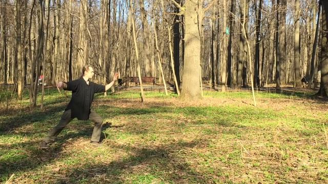 Тайцзицюань стиль Ян. 24 Форма.