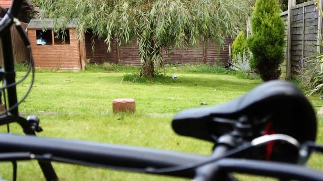 NEX-5 manual focus смотреть онлайн