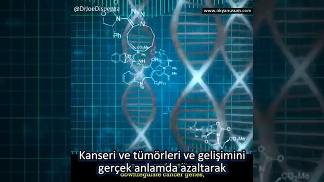 Tercihler GEN'leri bile değiştiriyor. смотреть онлайн
