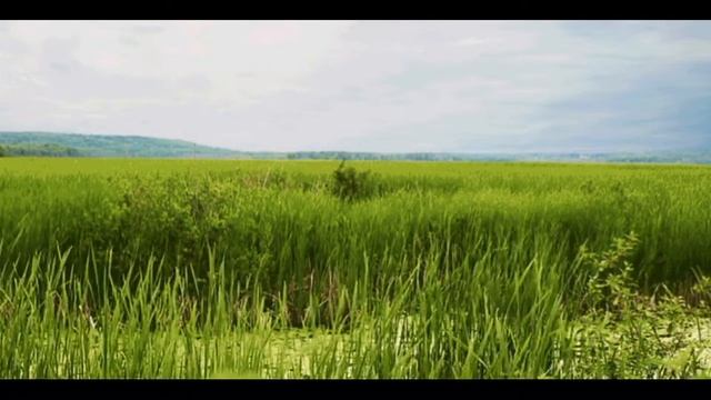 Суп для толстяков