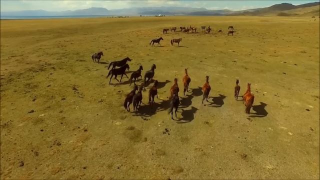 Dushanbe - Capital of Tajikistan смотреть онлайн