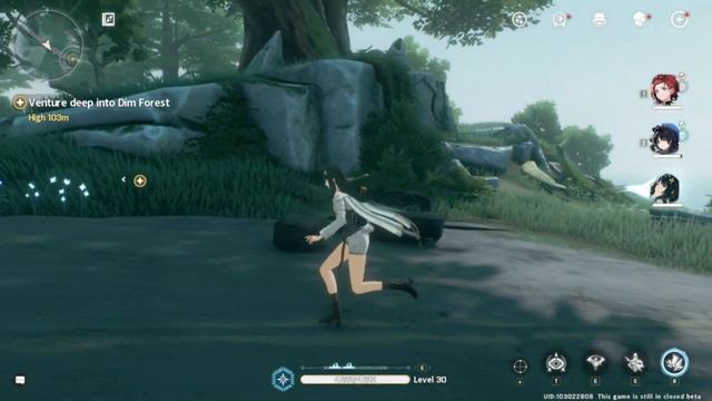 Wuthering Waves Dim Forest Main Story Quest