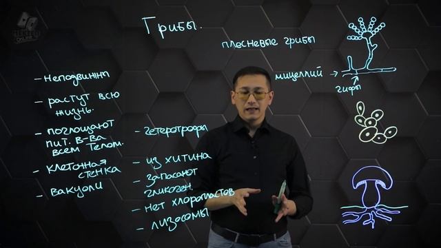 Грибы - особое царство живых организмов. 8 класс. смотреть онлайн