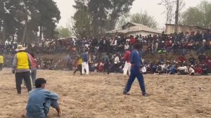 Гуштин дар н панч 08/03/2023