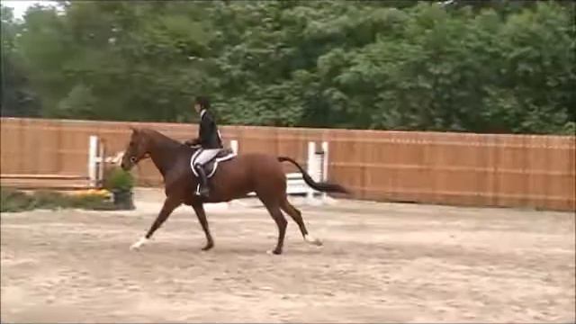 Mumms Mimosa at Maryland Summer Classic 2012 PreAdult Hunter 1st trip смотреть онлайн