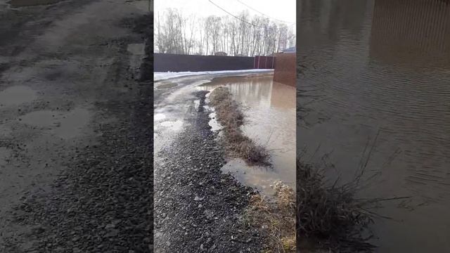 Парфентьево улица Октябрьская, весеннее таяние снега. смотреть онлайн