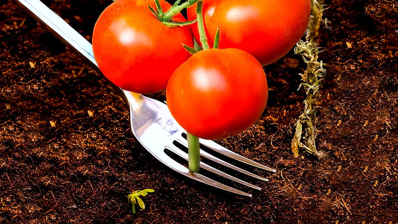 Полезные лайфхаки для сада смотреть онлайн