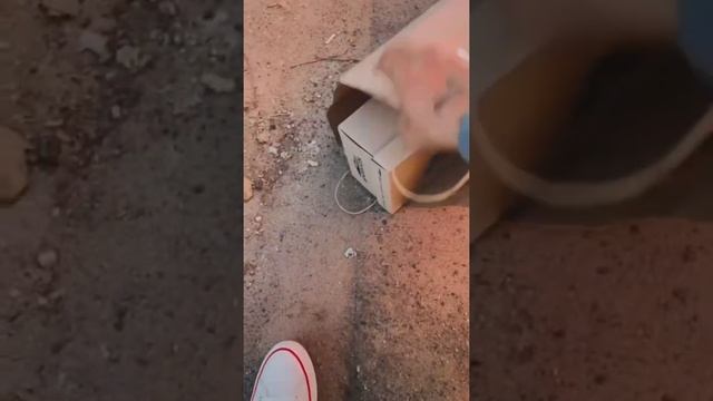 Закладка для бомжа #закладка #бомж #одежда смотреть онлайн