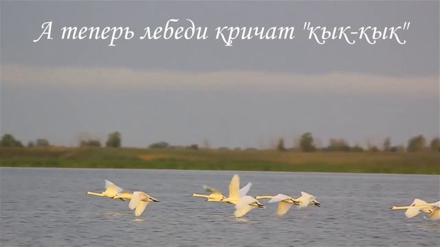 Буктрейлер по мотивам сказки В Санги Кыкык смотреть онлайн