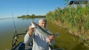 Рыбалка с удовольствием Банк Бахтемир Отвесное блеснение 27 08 23