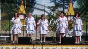 Лейся песня   Ромашки цветы Праздник урожая