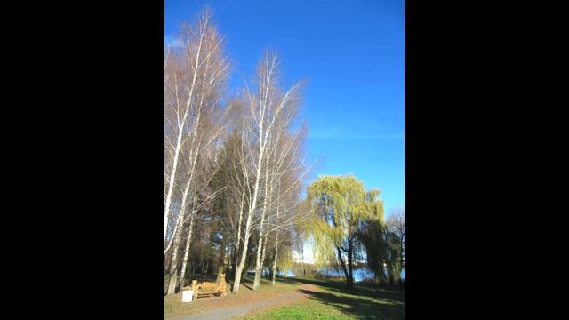Экотропа Малявки. Парк Грековой. Анна Панкратова - "Ноябрь начался". смотреть онлайн